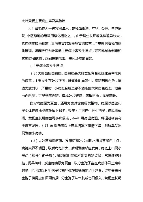 大叶黄杨主要病虫害及其防治