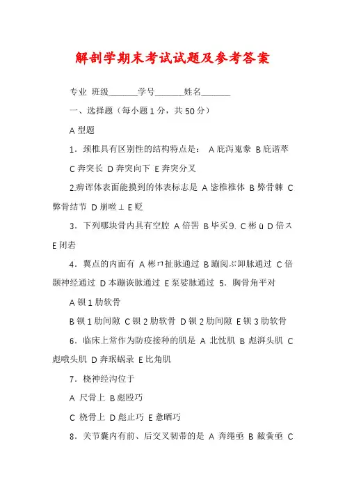 解剖学期末考试试题及参考答案