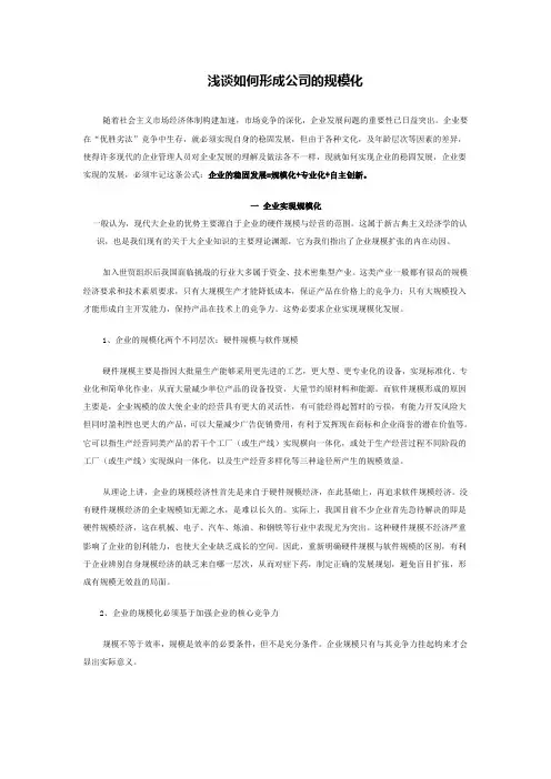 浅谈如何形成公司的规模化