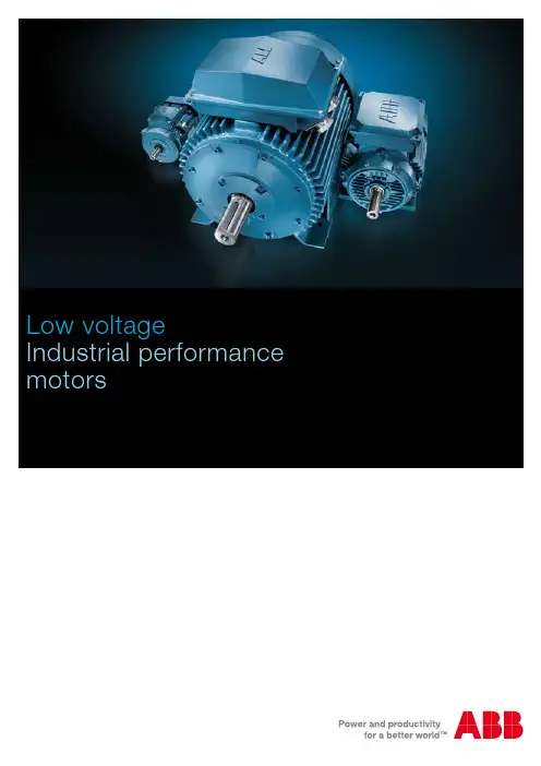 ABB电机 IPM_ EN 01_2009_9AKK104559 lowres(M3AA、M2CA)
