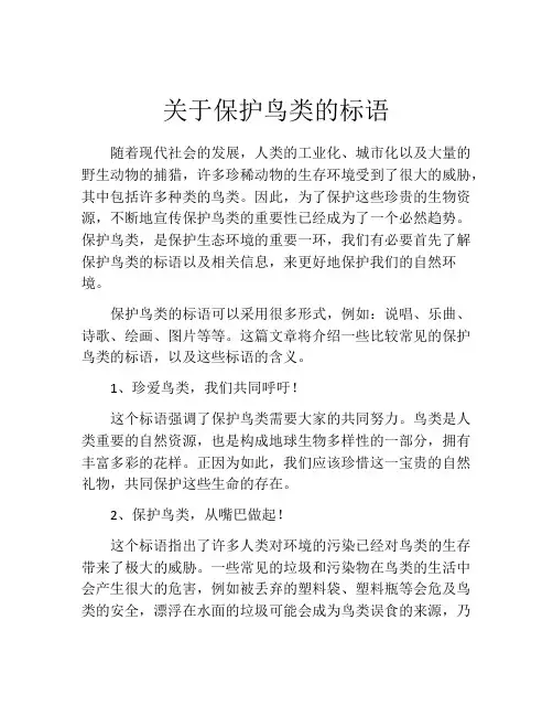 关于保护鸟类的标语