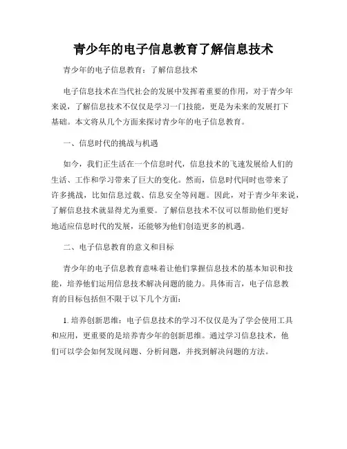 青少年的电子信息教育了解信息技术