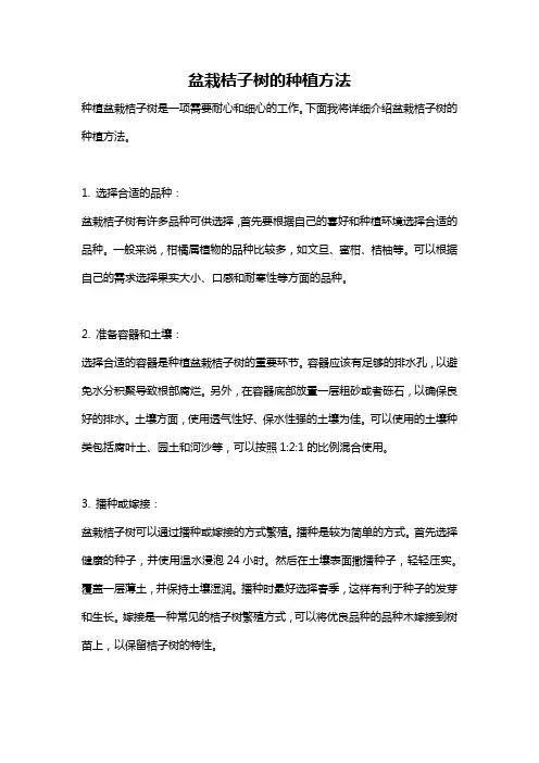盆栽桔子树的种植方法