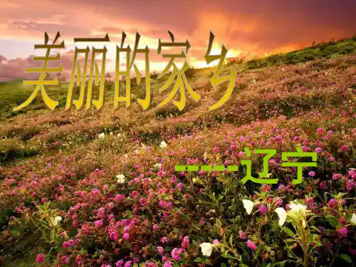 家乡(辽宁)