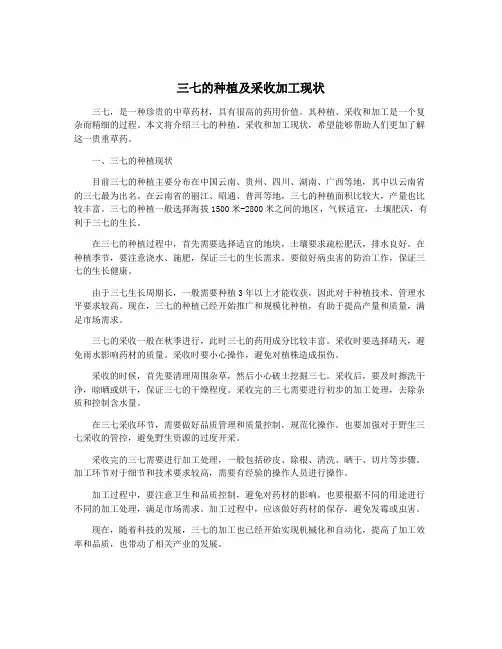 三七的种植及采收加工现状