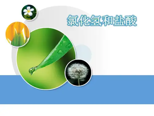 氯化氢与盐酸