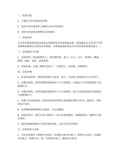 实验报告探究性