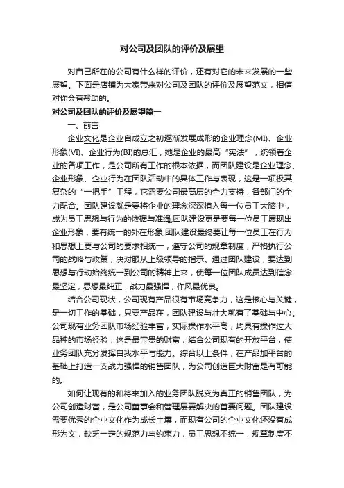 对公司及团队的评价及展望