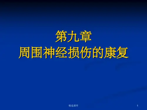 周围神经损伤的康复11255