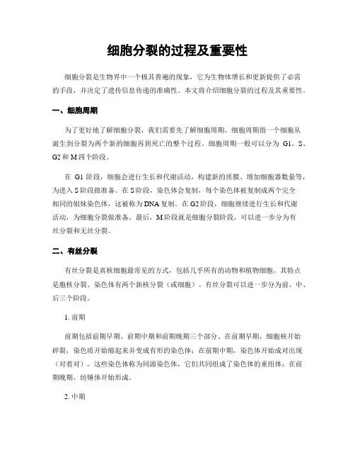 细胞分裂的过程及重要性