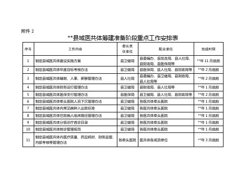 县域医共体筹建准备阶段重点工作安排表