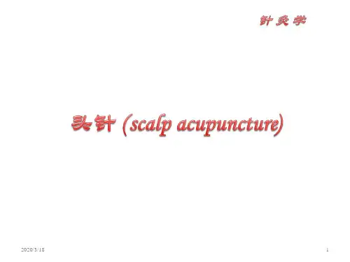 针灸PPT课件：头针