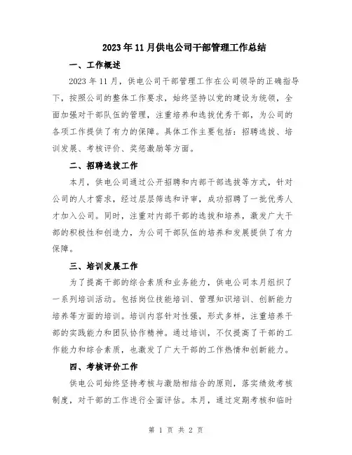 2023年11月供电公司干部管理工作总结
