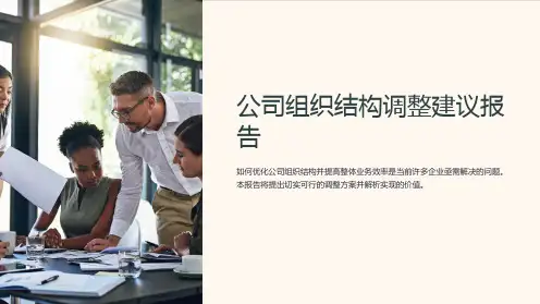 公司组织结构调整建议报告