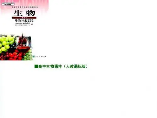 【人教版】生物选修一：3.1《菊花的组织培养》ppt课件
