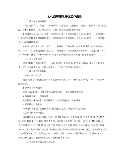 文化经费绩效评价工作报告