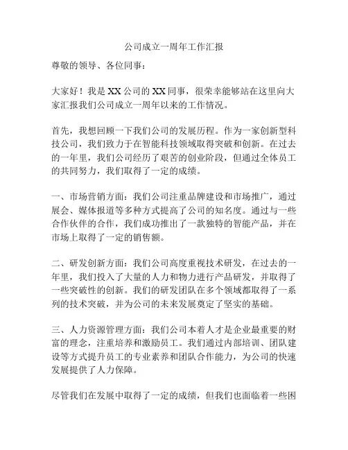 公司成立一周年工作汇报