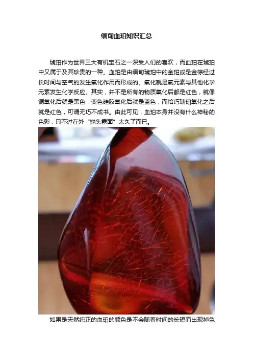 缅甸血珀知识汇总