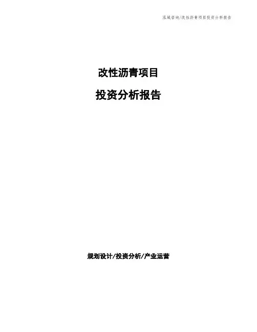 改性沥青项目投资分析报告