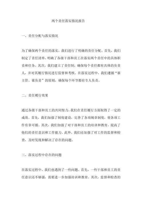 两个责任落实情况报告