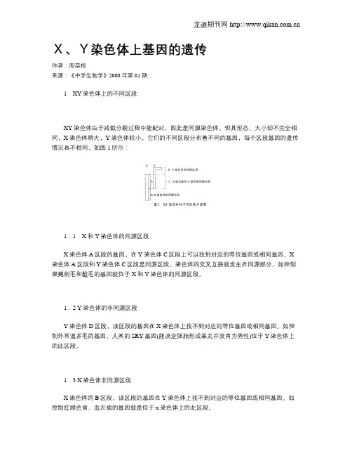X、Y染色体上基因的遗传