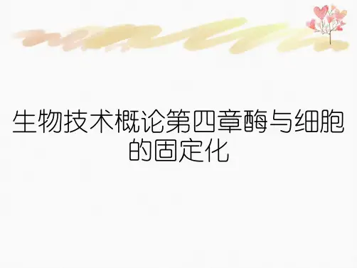 生物技术概论第四章酶与细胞的固定化