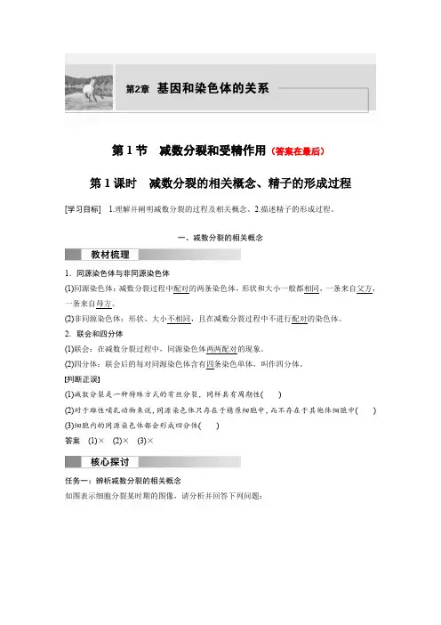 高中生物(必修第二册 人教版)讲义教案：减数分裂的相关概念、精子的形成过程(含答案)