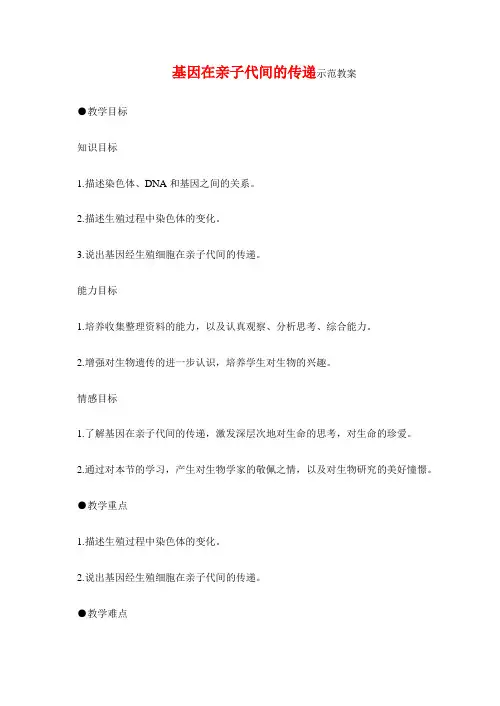 基因在亲子代间的传递示范教案