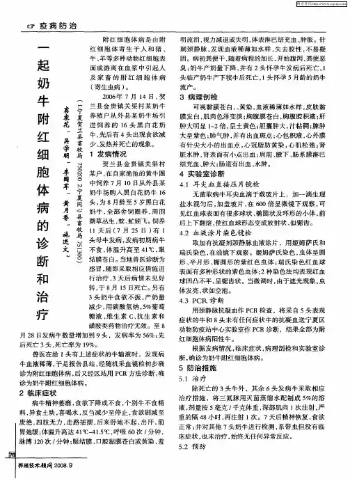 一起奶牛附红细胞体病的诊断和治疗