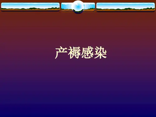 产褥感染
