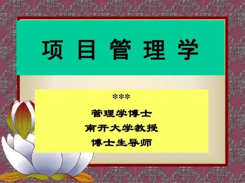 南开大学项目管理学