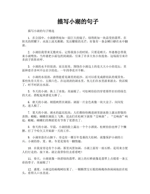 描写小湖的句子