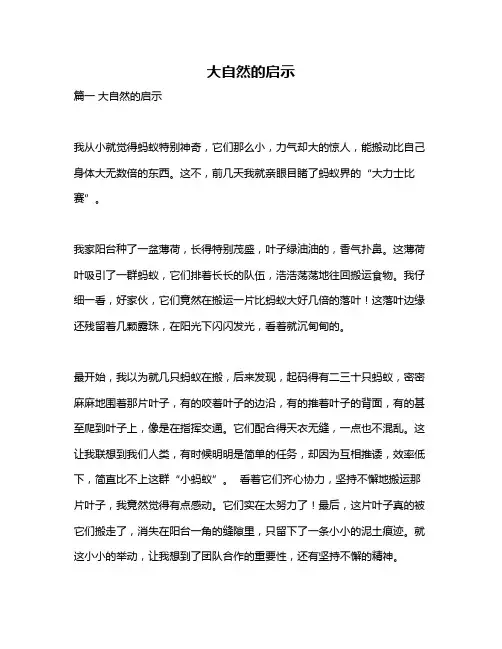 作文《大自然的启示》