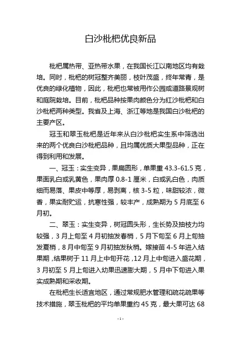白沙枇杷优良新品