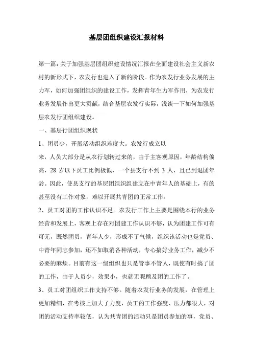 基层团组织建设汇报材料