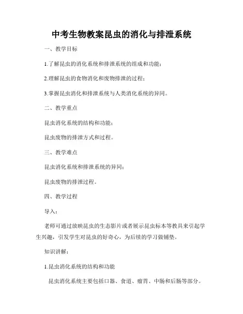 中考生物教案昆虫的消化与排泄系统