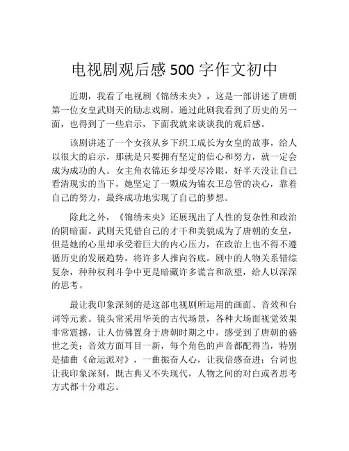 电视剧观后感500字作文初中