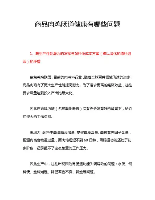 商品肉鸡肠道健康有哪些问题