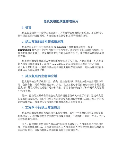 昆虫复眼的成像原理应用