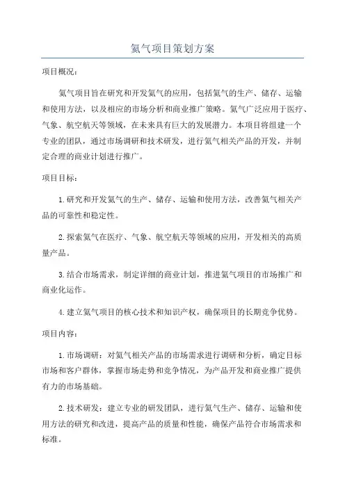 氦气项目策划方案