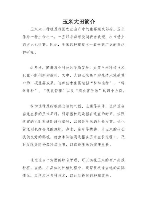 玉米大田简介