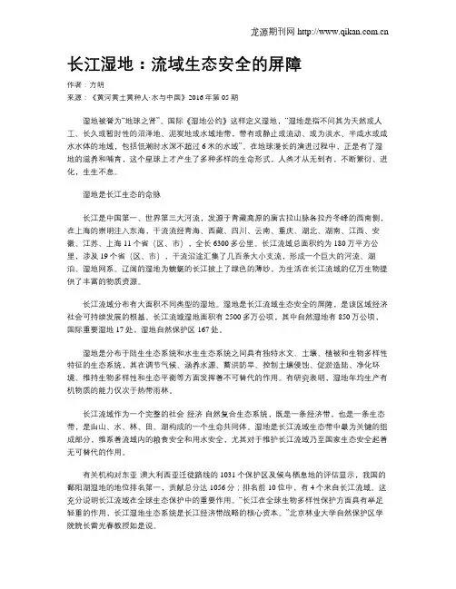长江湿地：流域生态安全的屏障