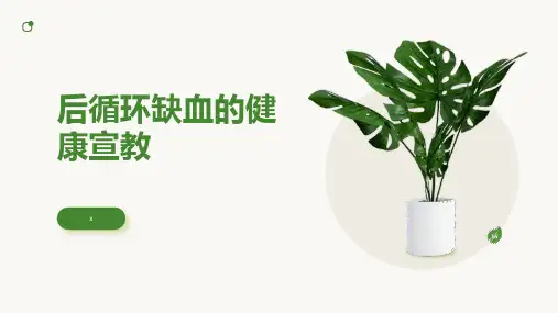 后循环缺血的健康宣教