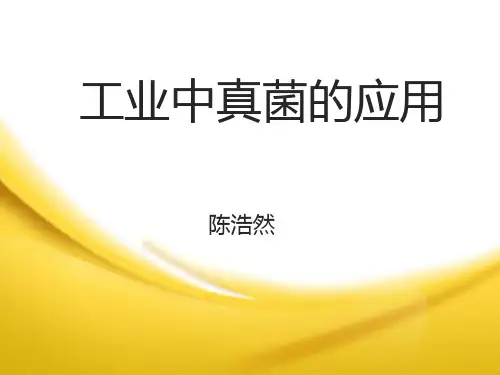 工业中真菌的应用