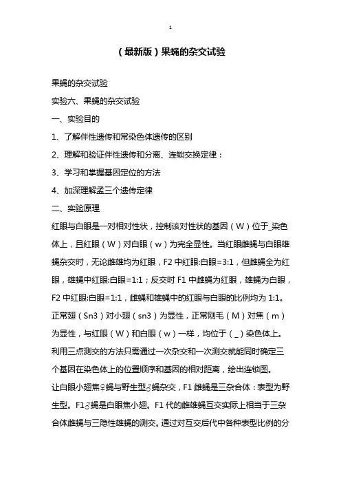 最新版果蝇的杂交试验