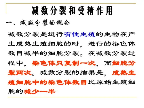 减数分裂和受精作用.ppt
