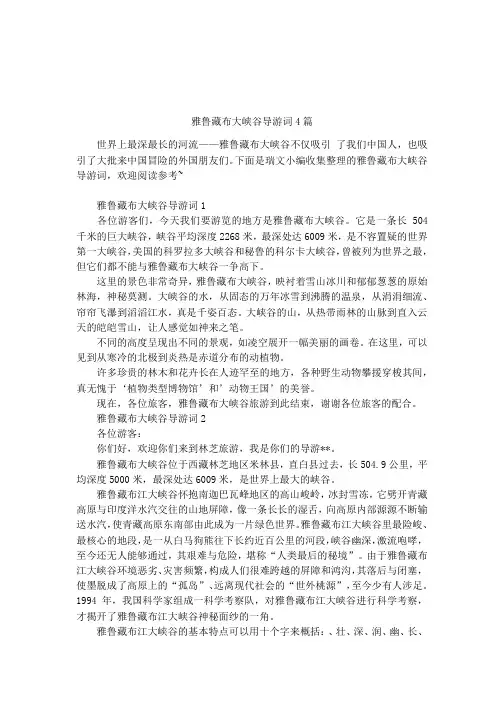 雅鲁藏布大峡谷导游词4篇