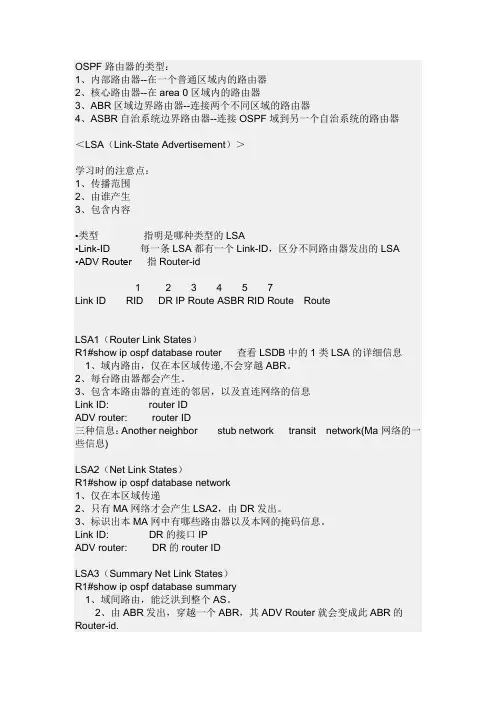 LSA的详解