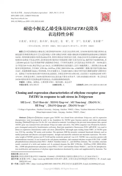 耐盐小偃麦乙烯受体基因TtETR1克隆及表达特性分析