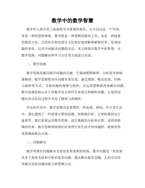 数学中的数学智慧